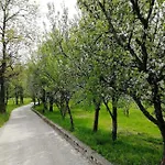 Domacija Pri Ivankovih