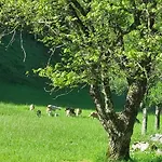 Domacija Pri Ivankovih