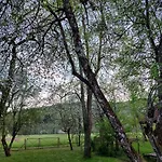 Domacija Pri Ivankovih *