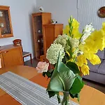 Domacija Pri Ivankovih Semesterbostad *