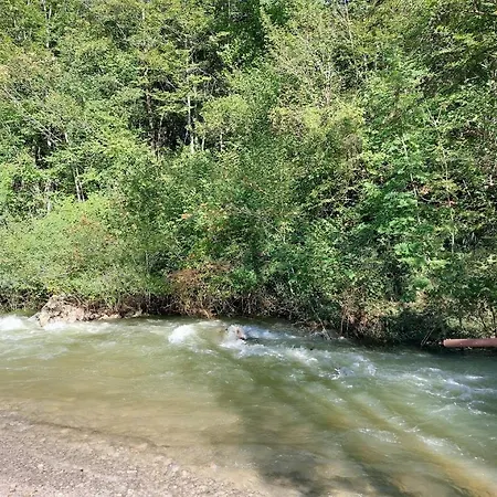 別荘 Domacija Pri Ivankovih Osilnica