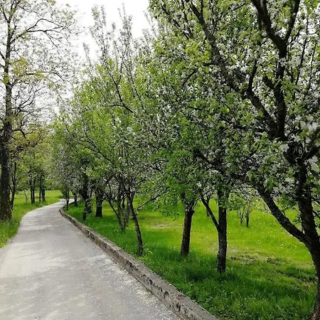 Domacija Pri Ivankovih