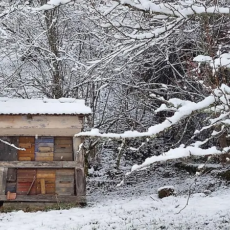 Domacija Pri Ivankovih *