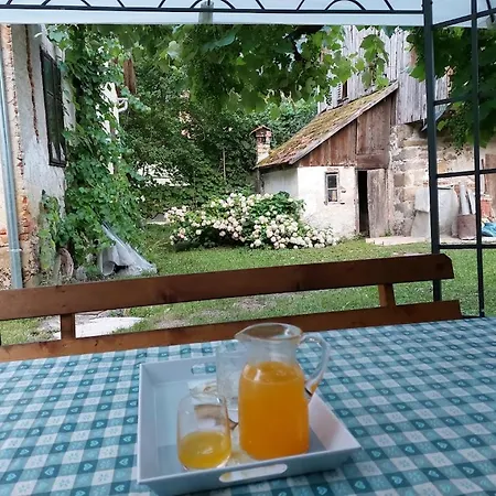 Domacija Pri Ivankovih 別荘 Osilnica