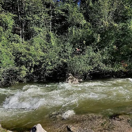 Domacija Pri Ivankovih *