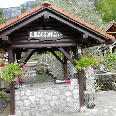 Vakantiehuis Domacija Pri Ivankovih