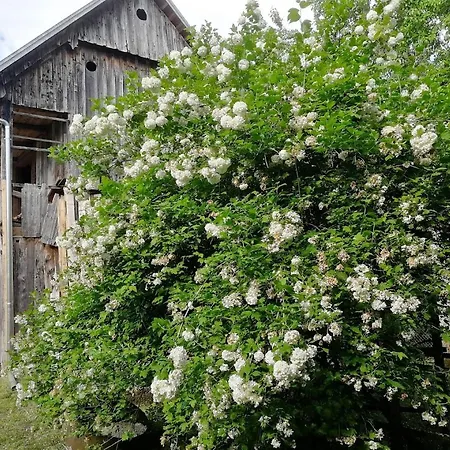 Domacija Pri Ivankovih Vakantiehuis Osilnica