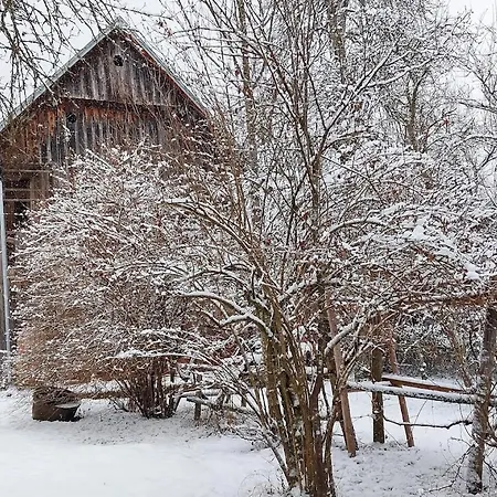 Ferienhaus Domacija Pri Ivankovih