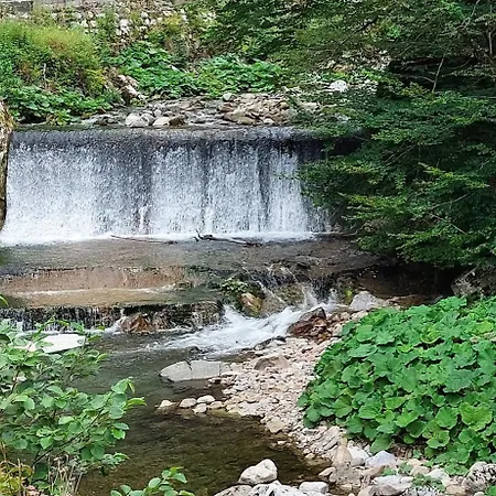 Domacija Pri Ivankovih Osilnica