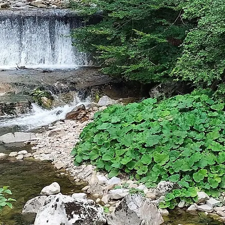 Domacija Pri Ivankovih Ferienhaus *