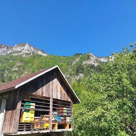 別荘 Domacija Pri Ivankovih