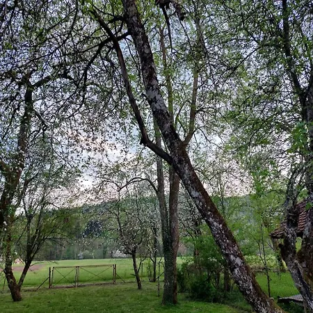 Domacija Pri Ivankovih *