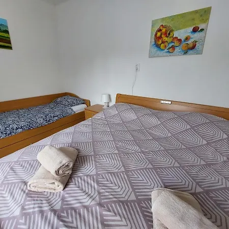 Domacija Pri Ivankovih 別荘 Osilnica