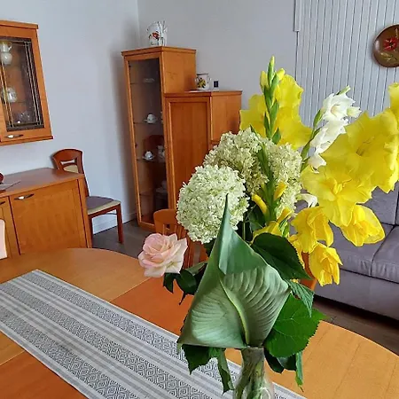 Domacija Pri Ivankovih Hébergement de vacances *