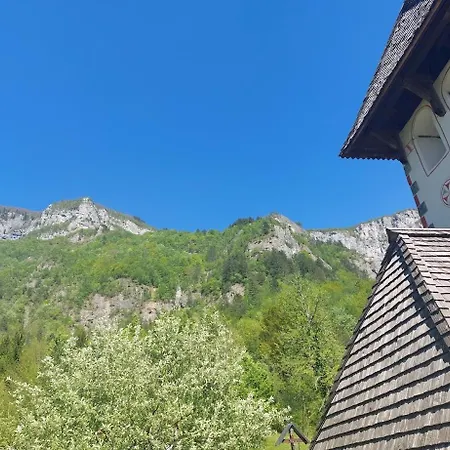 Domacija Pri Ivankovih 別荘