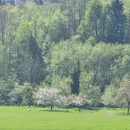 Domacija Pri Ivankovih Ferienhaus *