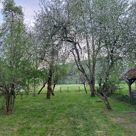 Hébergement de vacances Domacija Pri Ivankovih *