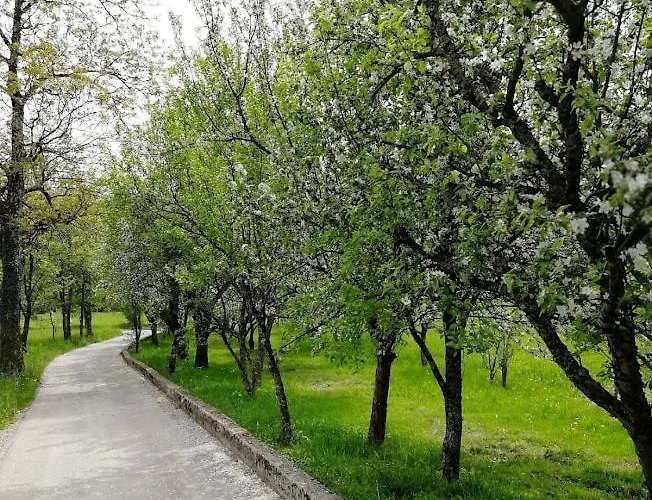 Domacija Pri Ivankovih