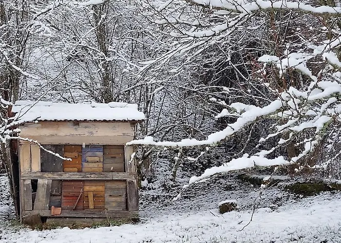 Domacija Pri Ivankovih *