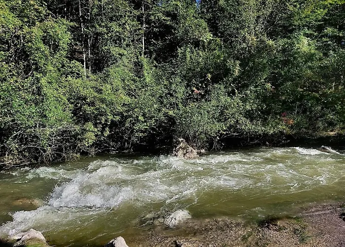 Domacija Pri Ivankovih *