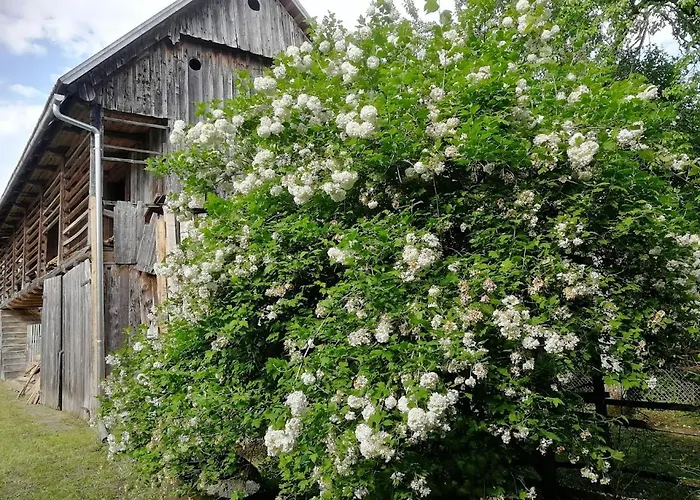 Domacija Pri Ivankovih Prázdninový dům Osilnica