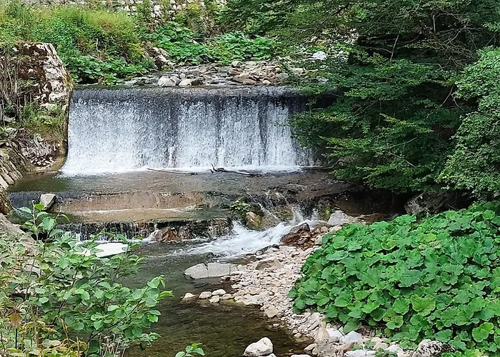 Domacija Pri Ivankovih Osilnica