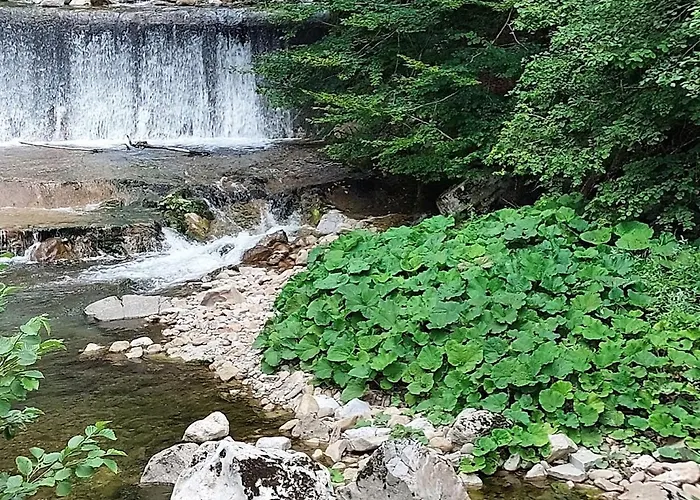 Domacija Pri Ivankovih Prázdninový dům *