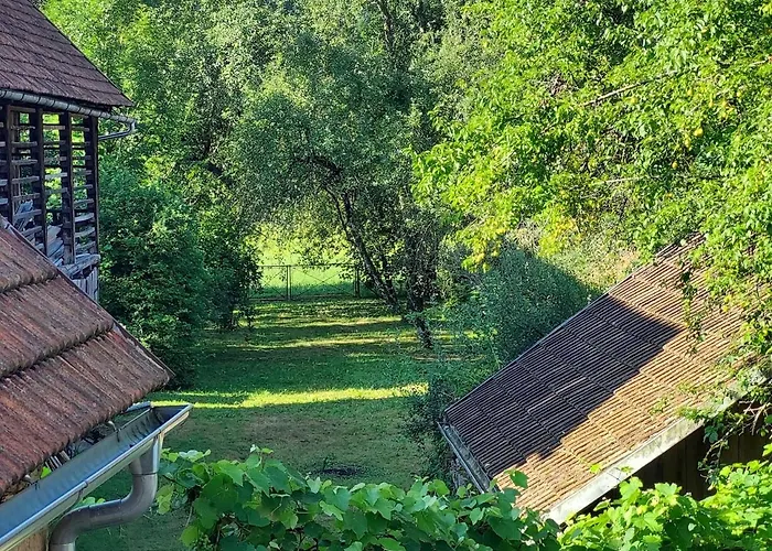 Domacija Pri Ivankovih Osilnica