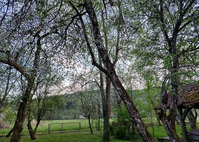 Domacija Pri Ivankovih *