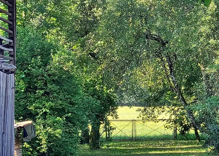 Domacija Pri Ivankovih * Osilnica