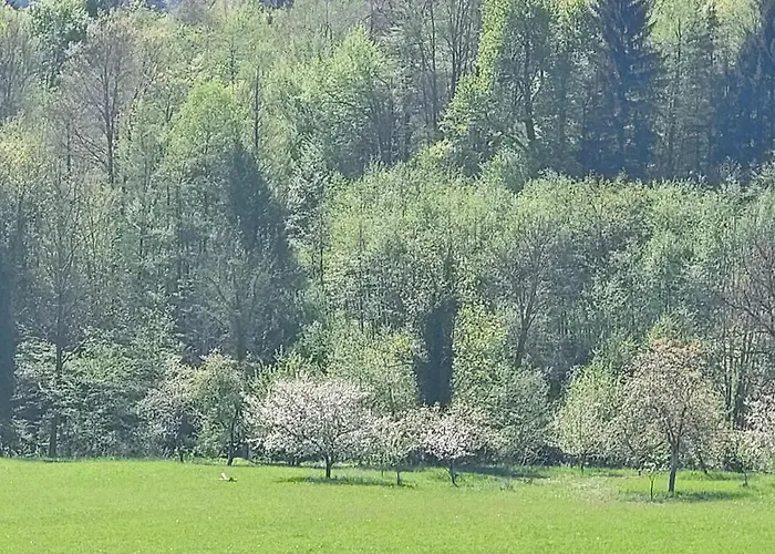 Domacija Pri Ivankovih Prázdninový dům *