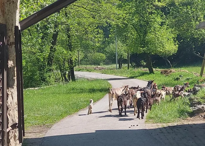Domacija Pri Ivankovih Prázdninový dům *